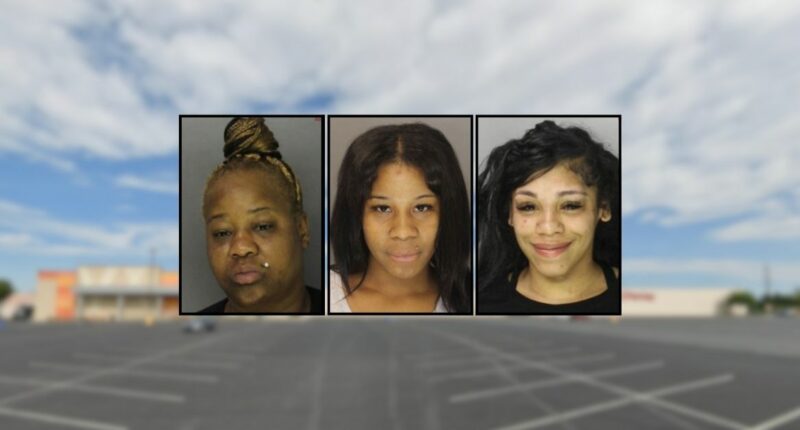 Mom brought her infant to a mall parking lot brawl: Cops