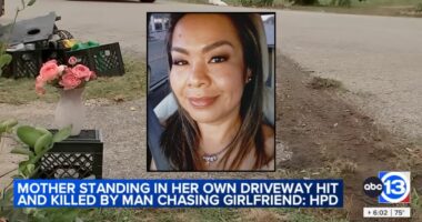 Mom of 4 standing in her own driveway fatally struck by man who was chasing his girlfriend in his car after a fight: Police