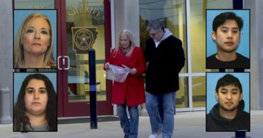 Mom staged fake kidnapping of disabled daughter: Police