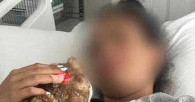 A 14-year-old girl bravely took a bullet to her thigh as she shielded two toddlers from the gunfire that rained down on crowds at Bondi Beach. ﻿