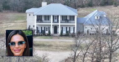 Mother, 2 young kids found shot to death amid divorce: Cops