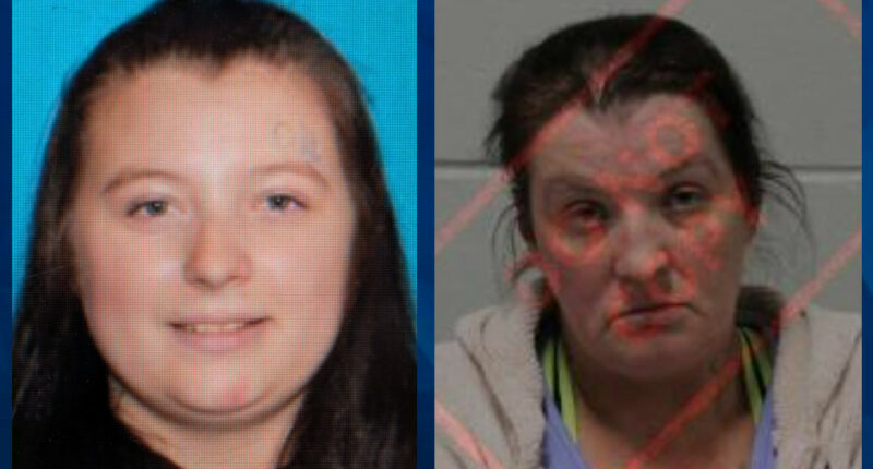 Mother, Stepfather of Pregnant Michigan Woman Arrested After She’s Found Dead in National Forest