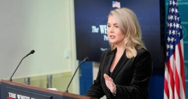 Mother of Karoline Leavitt's nephew pushes back on 'disgusting' narrative