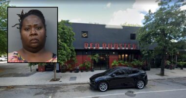 Mother shot son outside Red Rooster restaurant for being 'disrespectful' on Christmas: Police
