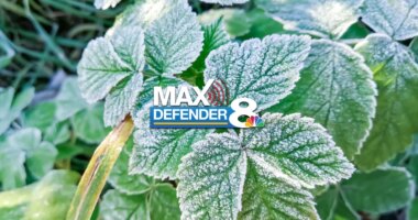 Much colder air settles in for the New Year