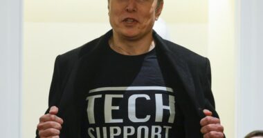 Musk Gives Epic One-Word Response to Insane EU X Speech Fine, Gets Backing From Rubio