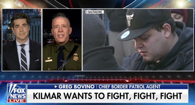 'Muzzling an entire agency': Abrego Garcia's 'wild' attempt to sanction Trump admin over non-lawyer's Fox News remarks has 'grave' implications, DOJ says