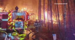 NASCAR driver Denny Hamlin's father killed in North Carolina house fire, mother critically injured