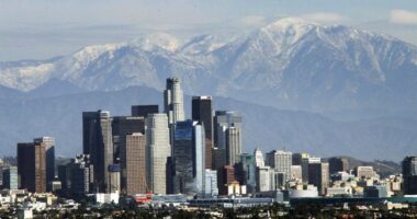 New: LA County Workers Charged in Over $700K Pandemic Fraud Bust