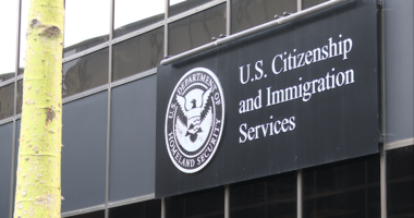 New USCIS vetting center being launched; will use AI