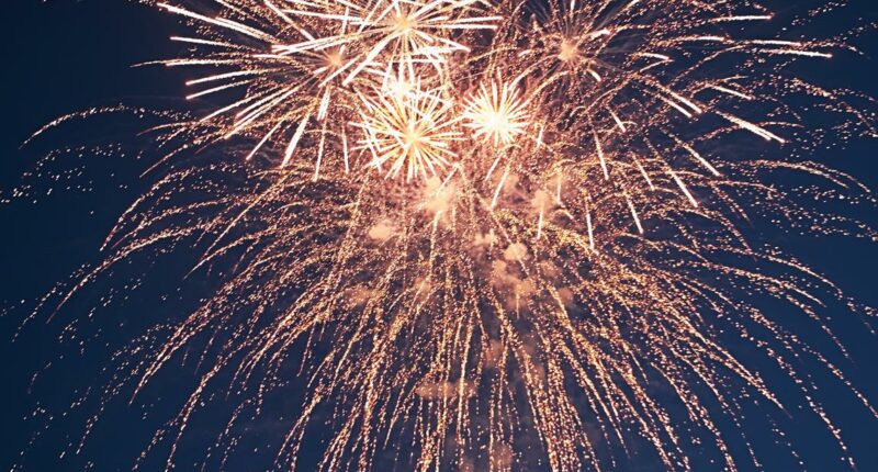 No fireworks this New Year's Eve in Baker County amid burn ban, officials say