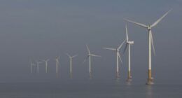 Oh, Come On! Clinton-Appointed Judge Jumps in to Stop Trump's Wind Project Order