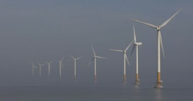 Oh, Come On! Clinton-Appointed Judge Jumps in to Stop Trump's Wind Project Order