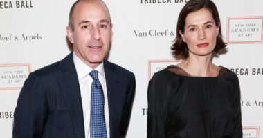 Old Photos Of Matt Lauer & His Ex-Wife Annette Look Like A Bad Divorce Ad