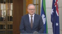 Prime Minister Anthony Albanese speaking in Canberra, December 19.