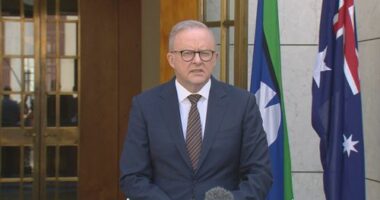 Prime Minister Anthony Albanese speaking in Canberra, December 19.