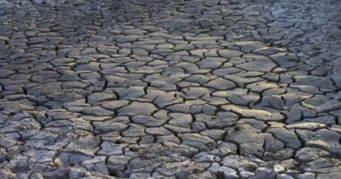 Oops! Prestigious Science Journal Retracts Climate Study That Predicted Imminent Economic Catastrophe