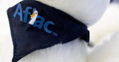 Over 22 million were impacted by data breach in June, Aflac says