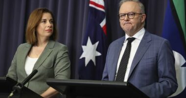Minister for Communications and Minister for Sport Anika Wells and Prime Minister Anthony Albanese take questions from students for a pre-recorded episode of Behind The News (BTN), at Parliament House in Canberra. Albanese has now defended Wells for several taxpayer funded trips she has taken.