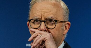 PM orders review into law enforcement and intelligence agencies