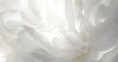 Pantone's Color of the Year for 2026 revealed