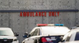 Patient stabs social worker to death inside  hospital