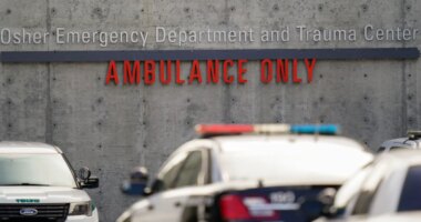 Patient stabs social worker to death inside  hospital