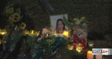 People gather at site of Urbana hit-and-run to remember victim