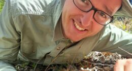 The plant captures and digests tiny insects using its leaves which are covered with sticky tentacles.