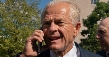 Peter Navarro tries once more to undo contempt convictions