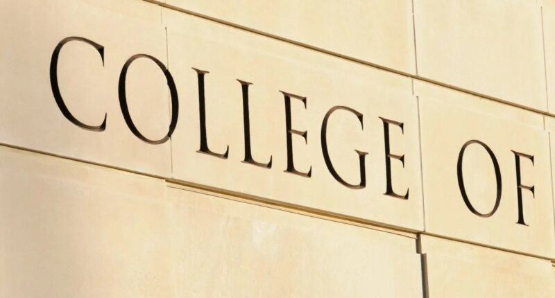 Pinellas Rep. files bill to limit foreign students enrolling at state colleges, universities