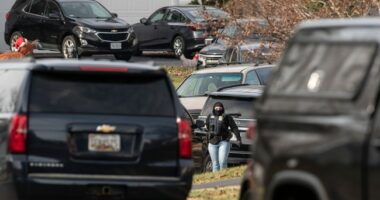 Pirro Talks D.C. Pipe Bomber: Eviscerates Biden Admin's Lame Investigation, Describes 'Low-Key' Suspect