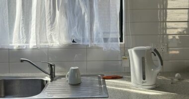 Plastic kettles release millions of microplastics into every cuppa, study finds