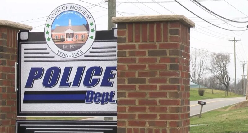 Police: Man arrested after standoff in Mosheim