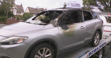 St Kilda East car firebombing