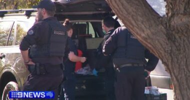 Police reveal key clues about whoever is behind Adelaide school threats