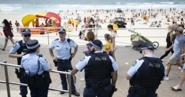 Police to carry guns 'you haven't seen before' at Sydney NYE celebrations