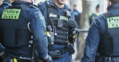 Victoria Police insist the measure of having some officers carry semi-automatic longarm weapons at the Boxing Day test between Australia and England is simply precautionary, and not in response to a new potential threat.