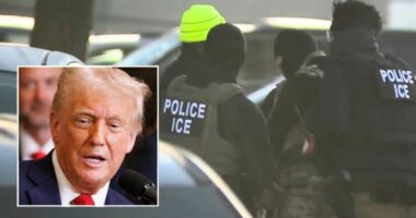 'Policies are totally unclear': Judge berates Trump admin over its sharing of Medicaid data with ICE, but allows certain information to be given