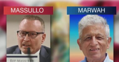 Polls open for special election to replace Ingoglia in State Senate District 11