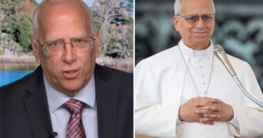 Pope Leo XIV's oldest brother admitted to 'everything short of murder and incest' during tell-all confession with pontiff