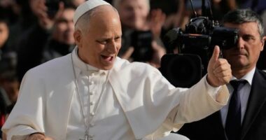 Pope Leo summons world's cardinals for 'significant' meeting