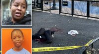Pre-teen charged with attempted murder in stabbing of boy, 12, inside NYC playground: cops