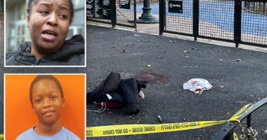 Pre-teen charged with attempted murder in stabbing of boy, 12, inside NYC playground: cops