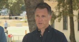 Premier promises 'answers' as Bondi royal commission stoush heats up