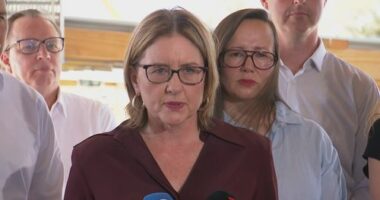 Jactina Allan has warned there will be consequences for people who attend the rally in Melbourne's CBD.