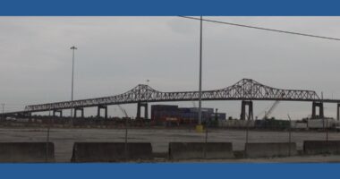 'Quite uncomfortable': New community task force pushes for upgrades to the Mathews Bridge