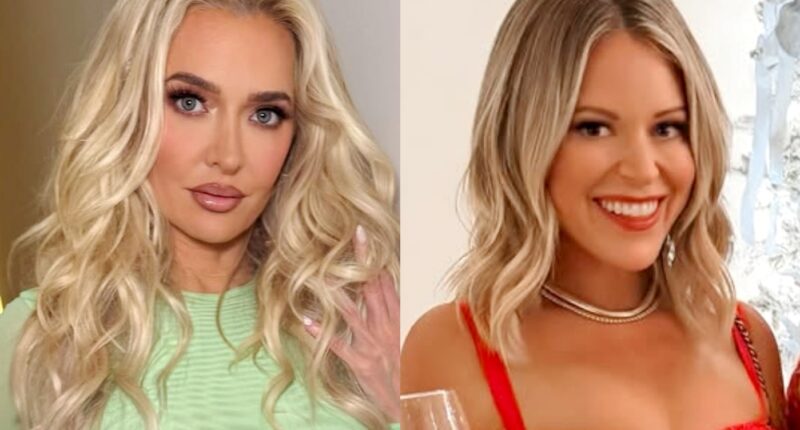 Erika Jayne Hints at How Amanda Frances ‘Pissed Off’ RHOBH Cast on Season 15 and Offers Advice to Newbies