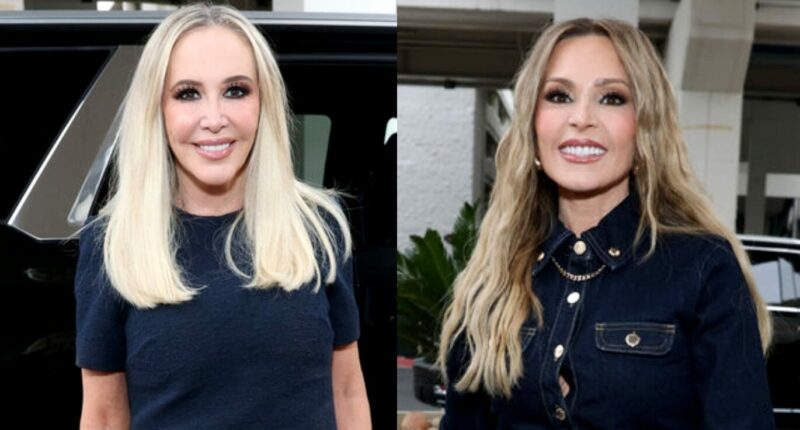 'RHOC' Star Shannon Beador Goes Off on "Tamra Grudge," Talks Season 20
