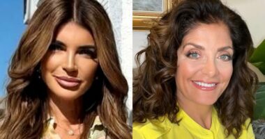 RHONJ's Teresa Giudice Reveals She Has Reconciled With Kathy Wakile